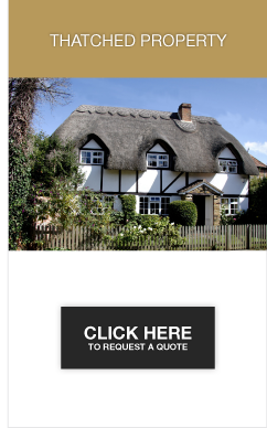 Thatched Property Insurance