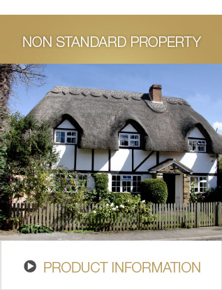 NON STANDARD PROPERTY