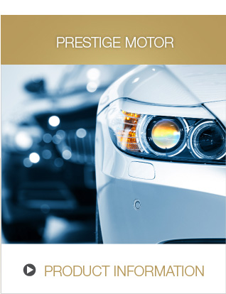 PRESTIGE MOTOR